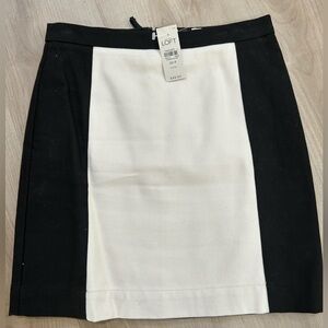 Ann Taylor loft skirt